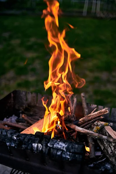 Imagen Cerca Del Fuego Parrilla —  Fotos de Stock