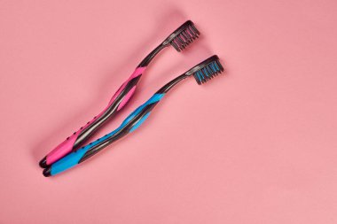 İki diş fırçası stüdyo çekim, diş bakımı kavramı 