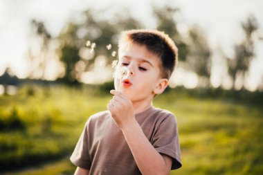 sevimli çocuk portresi açık havada karahindiba çiçek üfleme