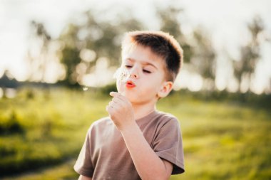 sevimli çocuk portresi açık havada karahindiba çiçek üfleme