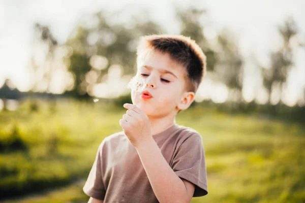 Retrato Niño Lindo Soplando Flores Diente León Aire Libre — Foto de Stock