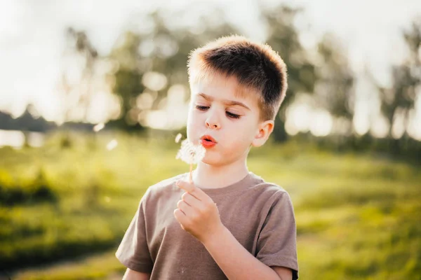 Retrato Niño Lindo Soplando Flores Diente León Aire Libre — Foto de Stock