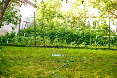 su splinker dökme yeşil çim Bahçe otomatik sistem kapatın