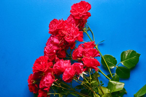 Parlak arka planda kırmızı gül buketi. Düz lay, üst görünüm dekore konsept