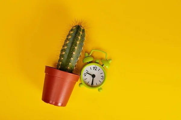 Kaktus Und Wecker Auf Hellgelbem Hintergrund — Stockfoto