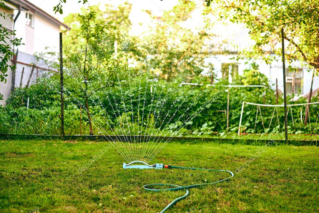 close up automatic system of water splinker pouring green lawn in the garden