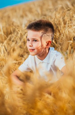 Küçük çocuk, doğanın tadını çıkarırken güneş ışığında buğday tarlasında. Temiz hava, çevre konsepti
