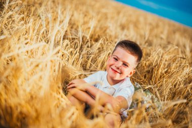 Küçük çocuk, doğanın tadını çıkarırken güneş ışığında buğday tarlasında. Temiz hava, çevre konsepti