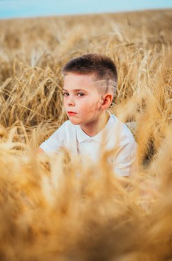 Küçük çocuk, doğanın tadını çıkarırken güneş ışığında buğday tarlasında. Temiz hava, çevre konsepti
