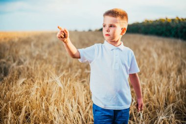 Küçük çocuk, doğanın tadını çıkarırken güneş ışığında buğday tarlasında. Temiz hava, çevre konsepti