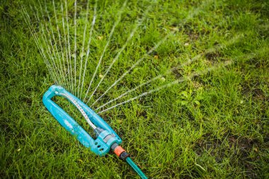 su splinker dökme yeşil çim Bahçe otomatik sistem kapatın