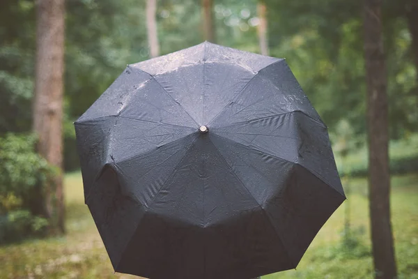 Jeune Femme Avec Parapluie Dans Forêt — Photo