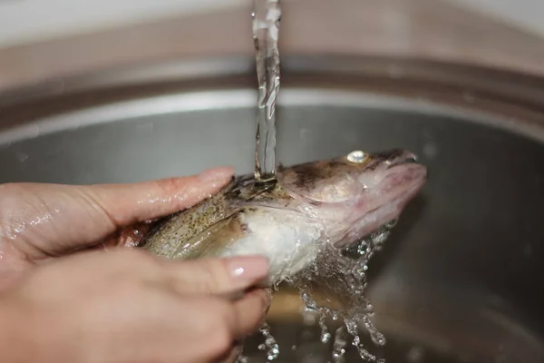 Wanita Membersihkan Dan Mengisi Ikan Yang Baru Ditangkap — Stok Foto