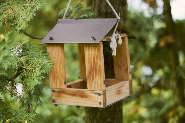 Alimentador Para Aves Parque Ciudad —  Fotos de Stock