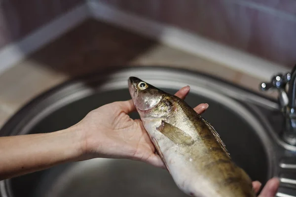 Wanita Membersihkan Dan Mengisi Ikan Yang Baru Ditangkap — Stok Foto