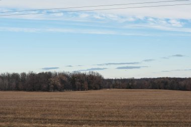 Sonbahar tarlası. Batı Sibirya.