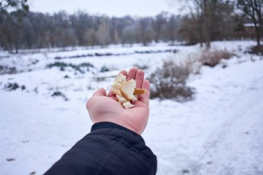 Kışın kuşların beslenme