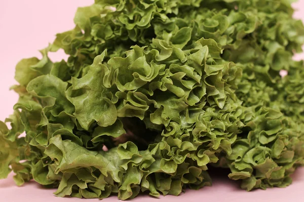 pembe arka plan üzerinde taze marul