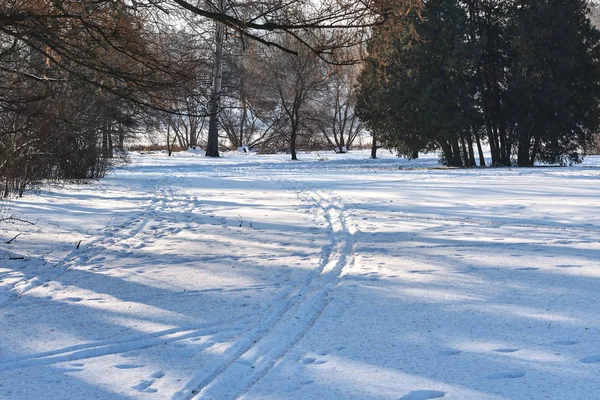 Pistas Esquí Nieve — Foto de Stock