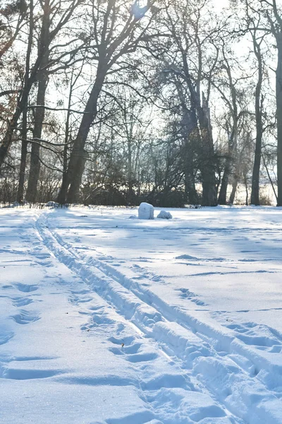 Pistas Esquí Nieve — Foto de Stock