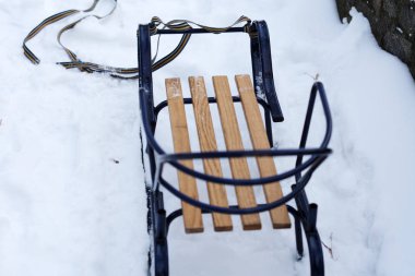 Kış ormanlarında karda kızak