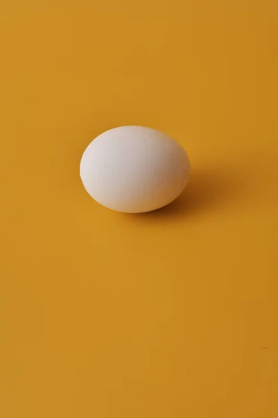 黄底白蛋 — 图库照片