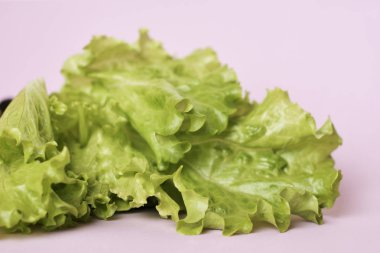 pembe arka plan üzerinde taze marul