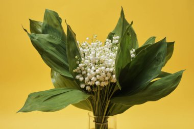 Sarı arka plan üzerinde vazo içinde vadinin Zambaklar