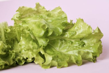 Taze marul salatası yapraklarının yakın görüntüsü