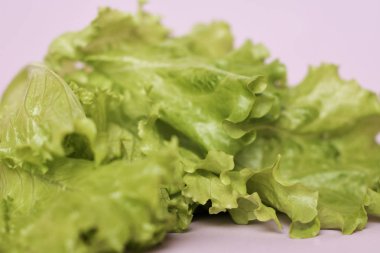 Taze marul salatasına yakından bak. 