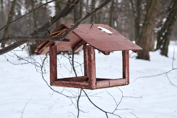 Old Weathered Bird Feeder Hanging Tree Winter Forest — 图库照片