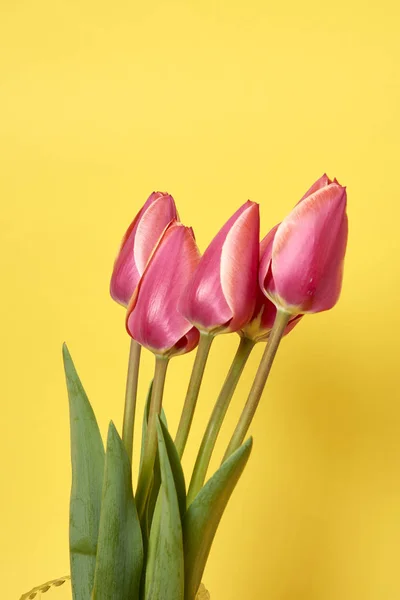 Bouquet Beautiful Tulips Vase Yellow Background Celebration Concept — Stock Photo, Image