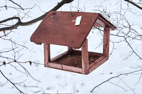 Altes Verwittertes Vogelfutterhäuschen Hängt Winterwald Baum — Stockfoto