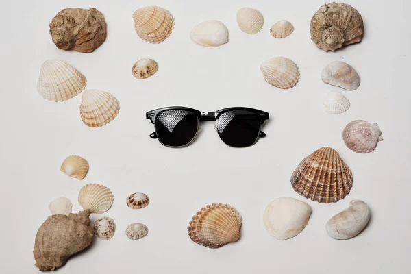 Stylish sunglasses on white background with seashells