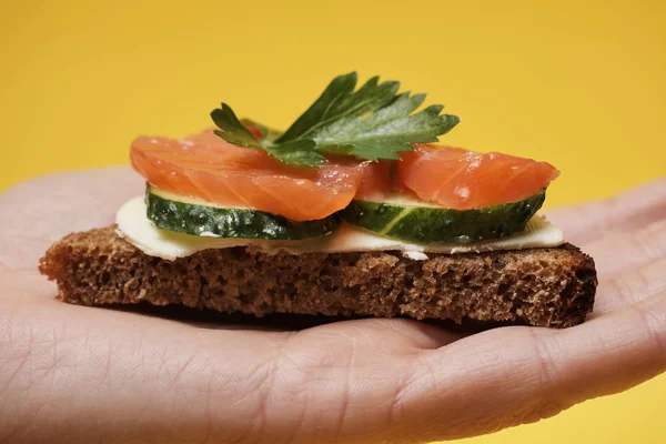 Mujer Sosteniendo Sándwich Salmón Mano — Foto de Stock