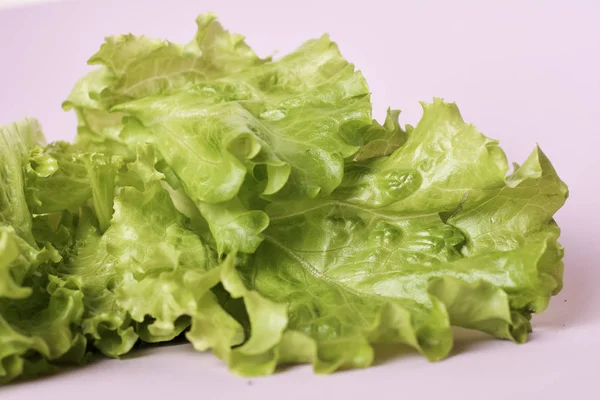 Blick Auf Frische Salatblätter — Stockfoto