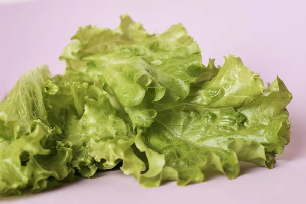 Blick Auf Frische Salatblätter — Stockfoto