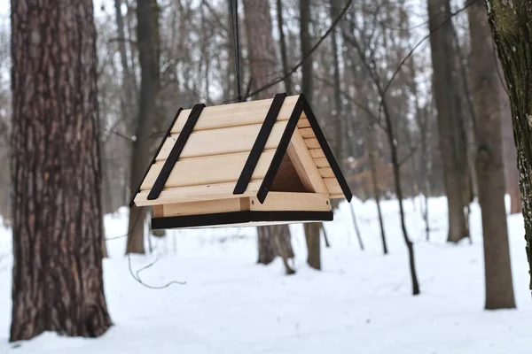 Stylish Triangular Bird Feeder Made Wooden Planks Hanging Tree Winter — 图库照片