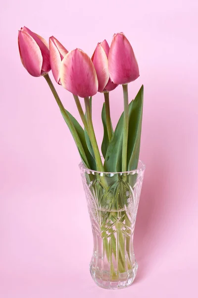 Bouquet Beautiful Tulips Vase Pink Background Celebration Concept — Stock Photo, Image