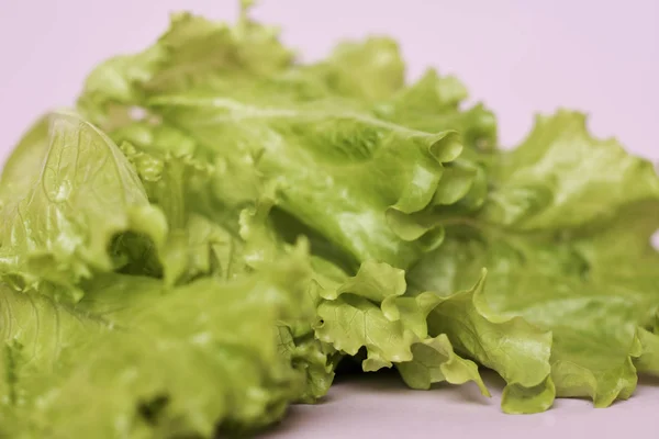 Close View Fresh Lettuce Salad — Stock Photo, Image