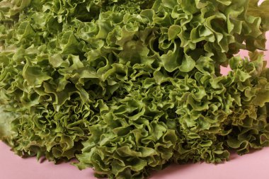 Taze marul salatasına yakından bak. 