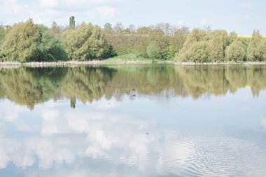Yeşil Park 'taki yansıtıcı göl manzarası