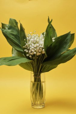 Vadinin cam vazodaki zambaklarının güzel manzarası. 