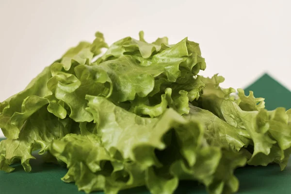 Close View Fresh Lettuce Salad — Stock Photo, Image