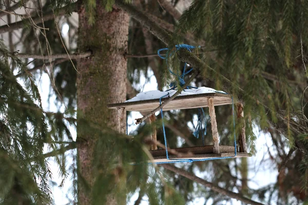 Vogelfutterhäuschen Voller Nahrung Hängt Winterwald Baum — Stockfoto