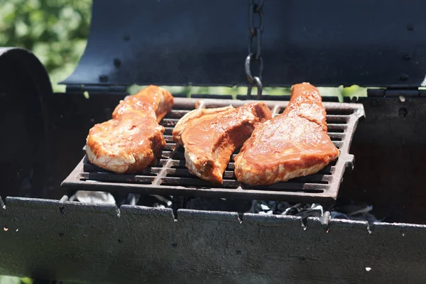 Grillen Vlees Buiten Grill Barbecue — Stockfoto