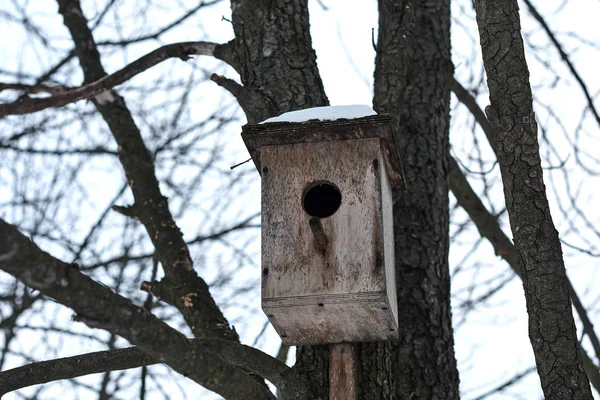 Sníh Zimě Krytý Dřevěný Birdfeeder — Stock fotografie