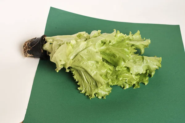 Green Fresh Lettuce Background — Stock Photo, Image
