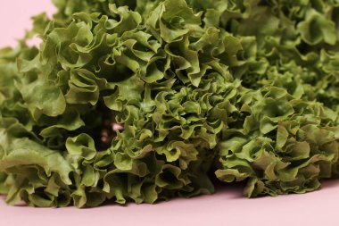 Taze marul salatasına yakından bak. 