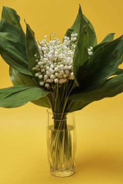 Vadinin cam vazodaki zambaklarının güzel manzarası. 